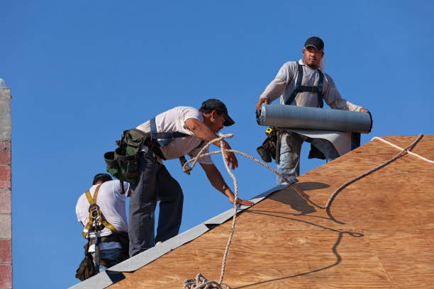Best Local Roofing Companies  in Knightstown, IN