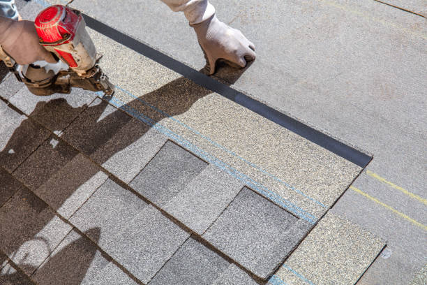 Best Roof Gutter Cleaning  in Knightstown, IN
